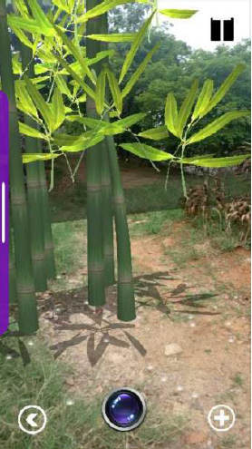 bamboo.PNG