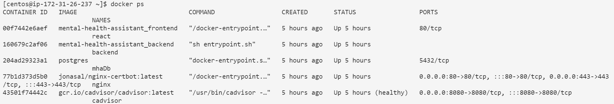 docker-ps-output.png