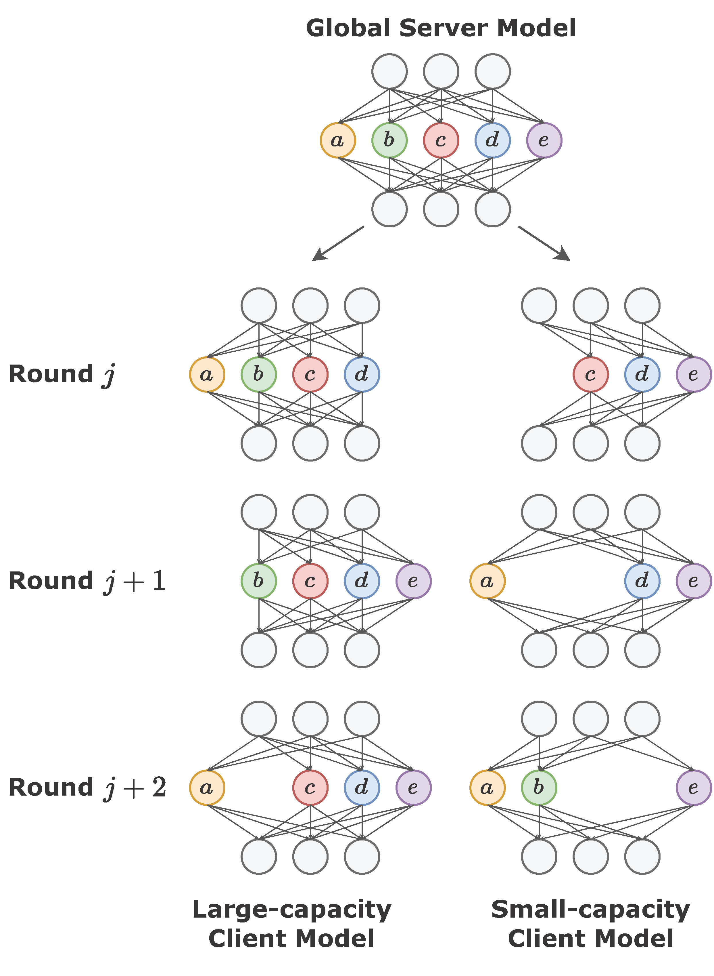 fedrolex_overview.png