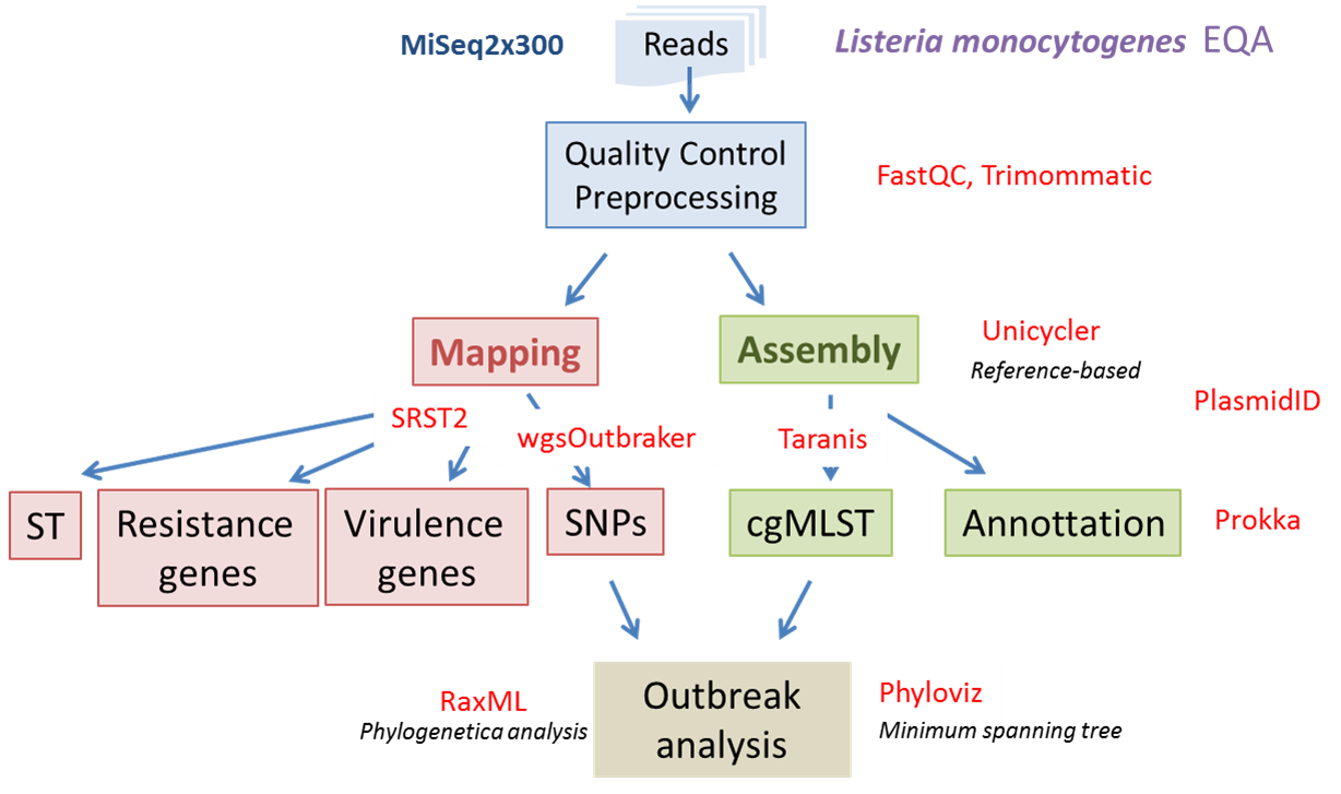 bacterial_wgs_training.png