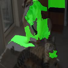 catdog_lime_overlay.jpeg