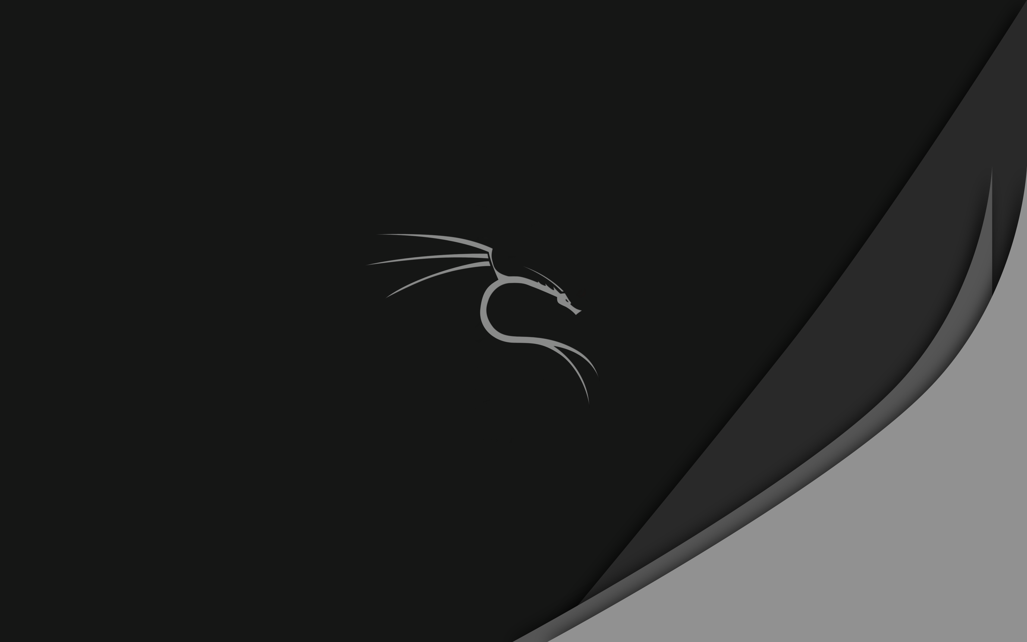 kali-linux-wallpaper-v1.png