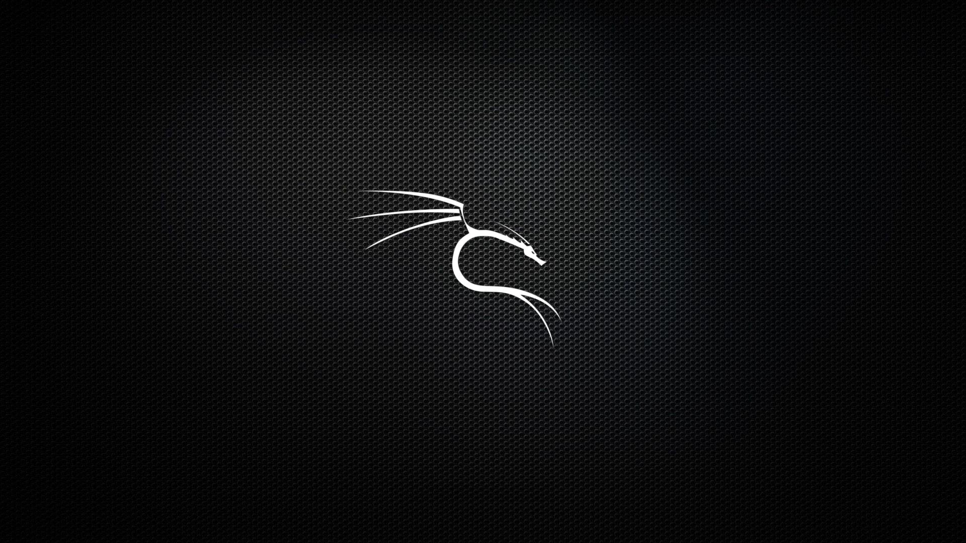 kali-linux-wallpaper-v4.png