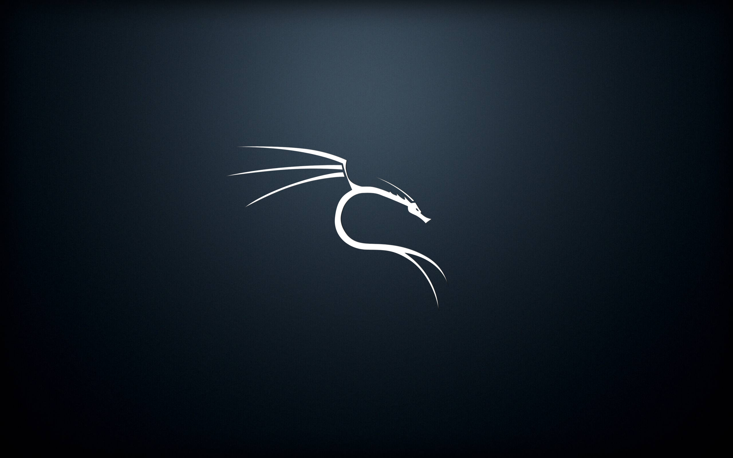 kali-linux-wallpaper-v7.png