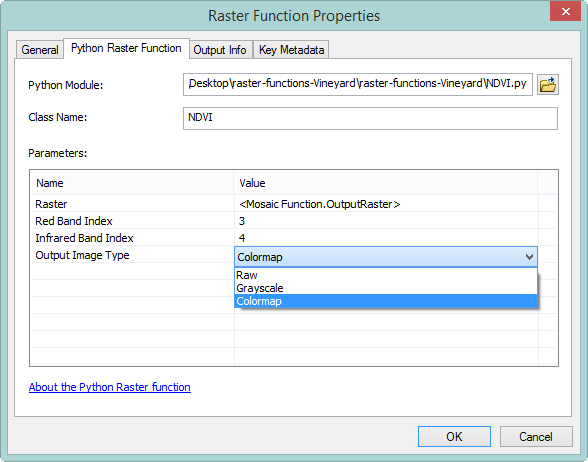 Python Raster Function: Property Page