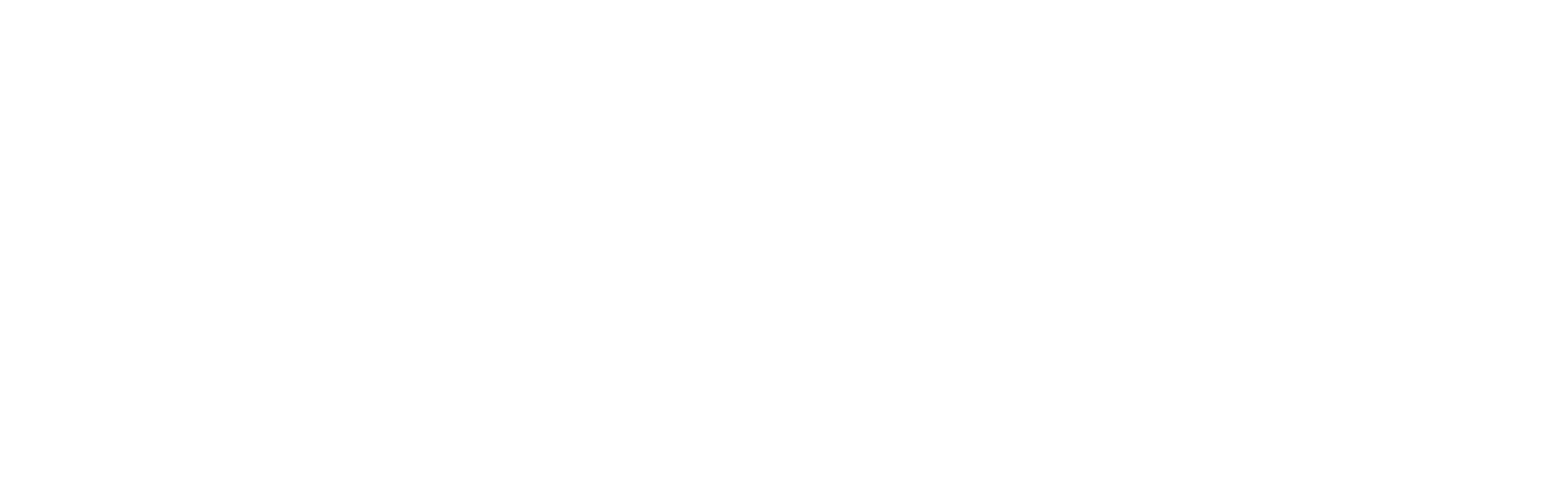 flagAI_horizontal-white.png