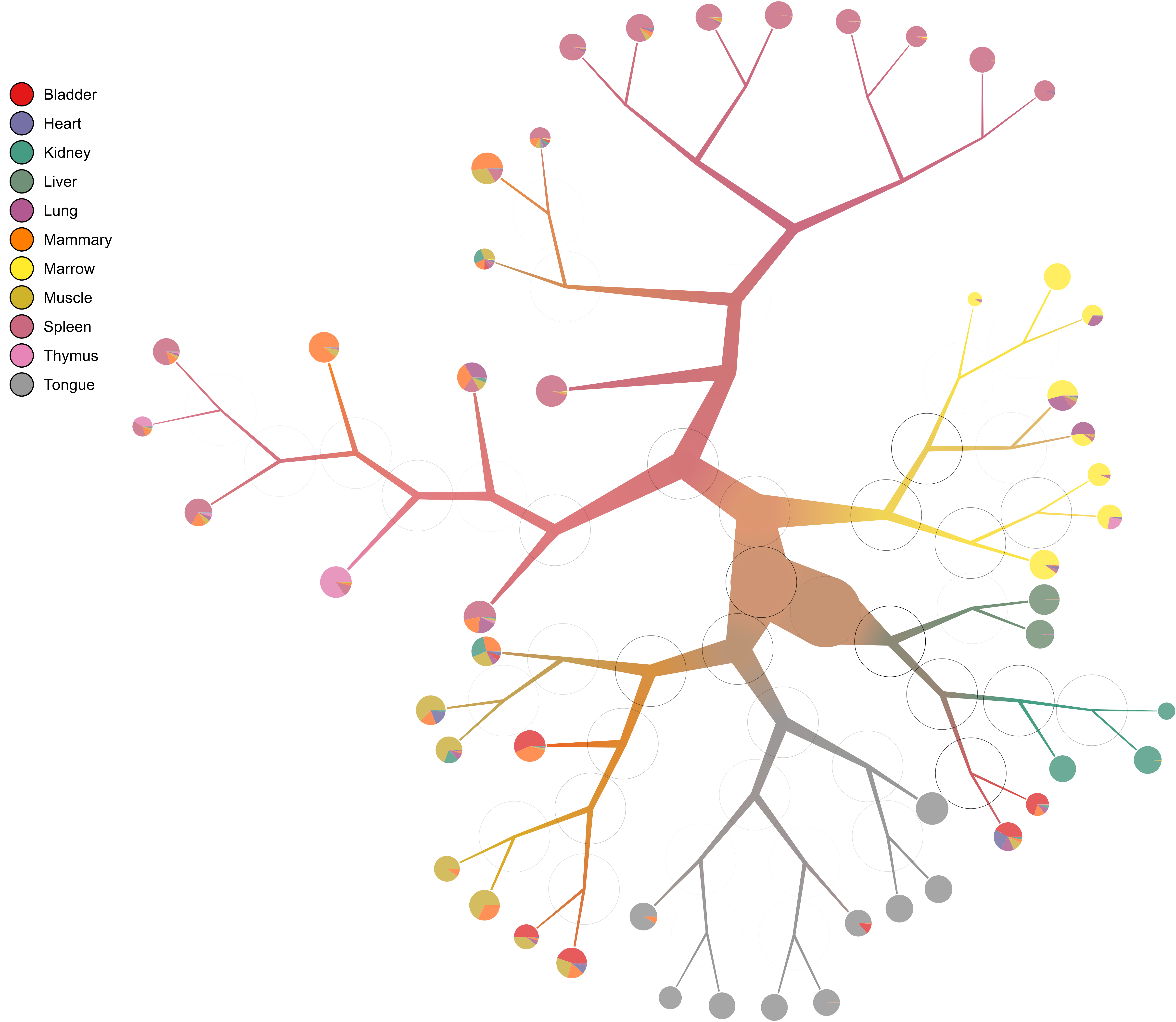 modularity_pruned_tree.png