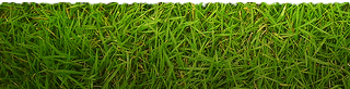 grass.png