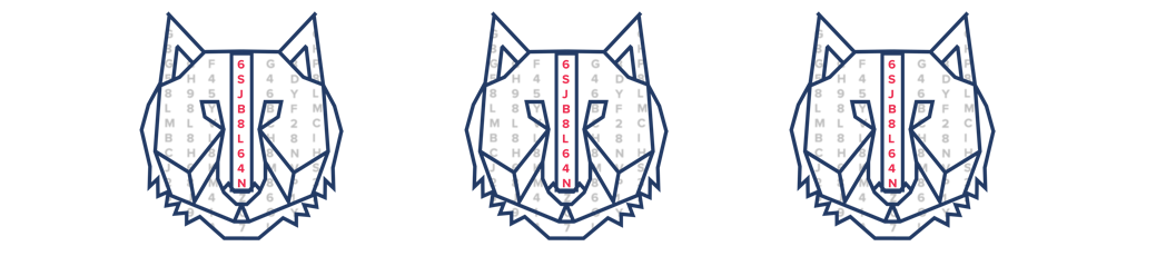 cyphercat_logo3_spc.png