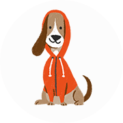 low-profile-dog-1.png