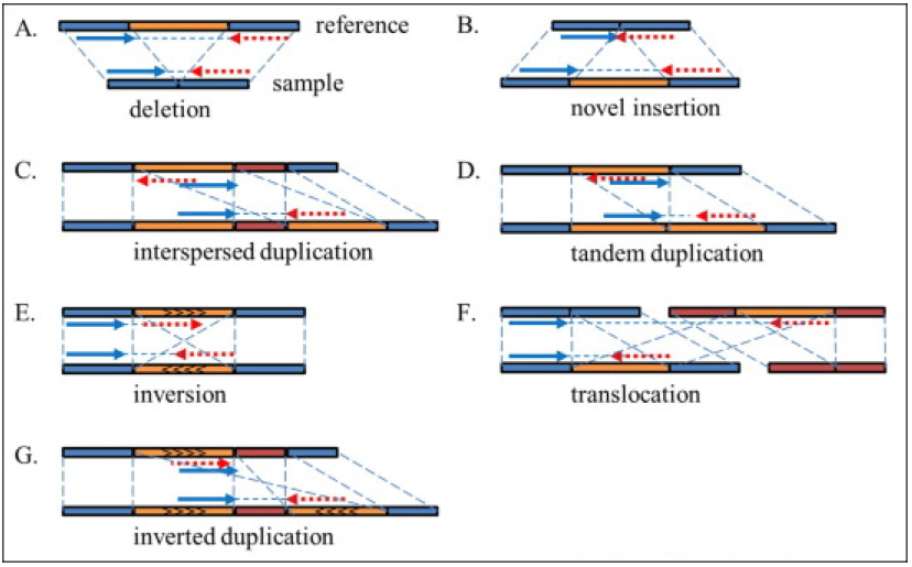 StructralVariation-SVs-types.png