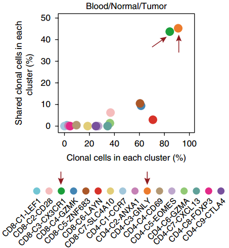 T-cell-sequencing-in-cancers-lung-cancer-10.png