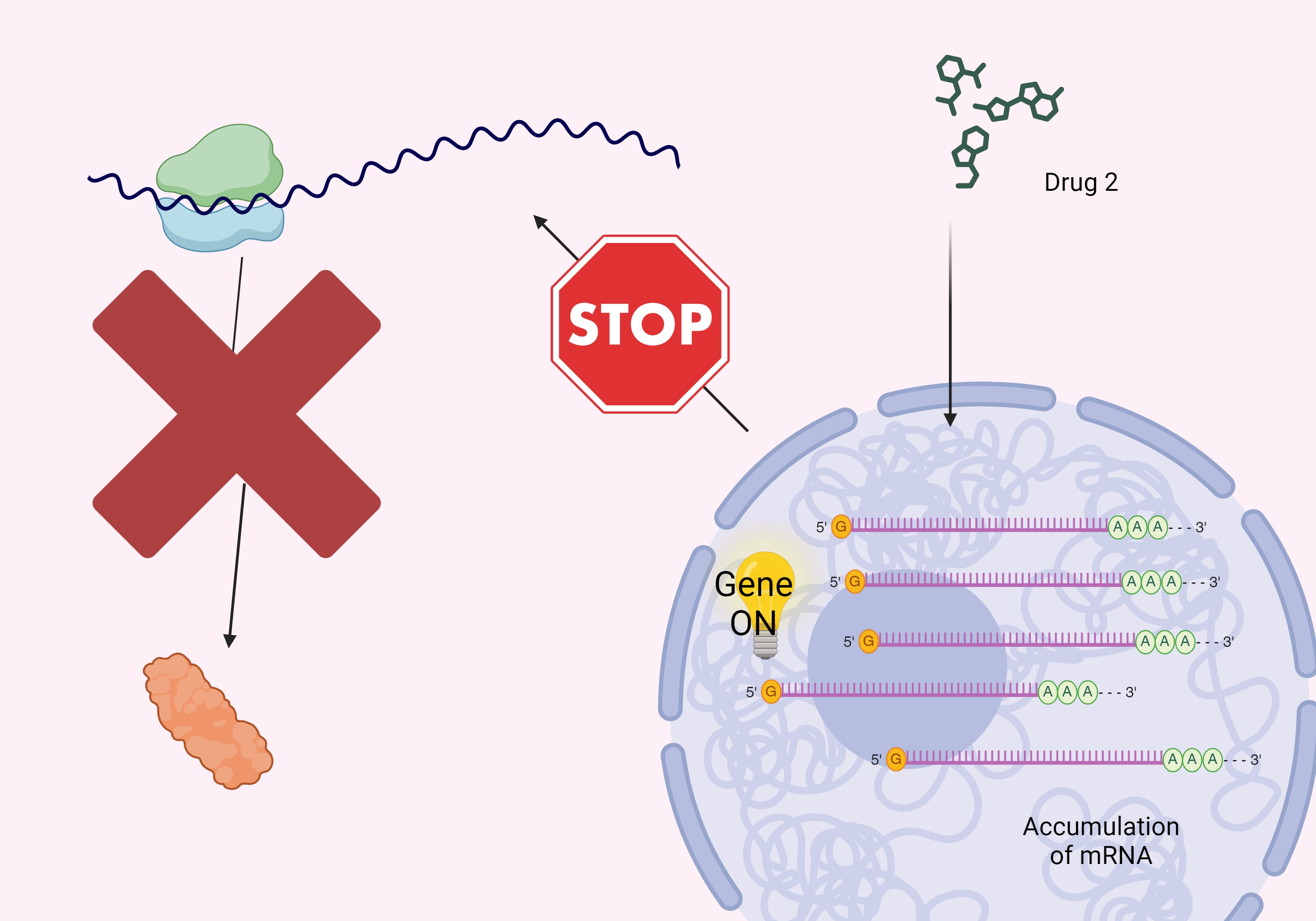 Drug_2_diagram.jpg