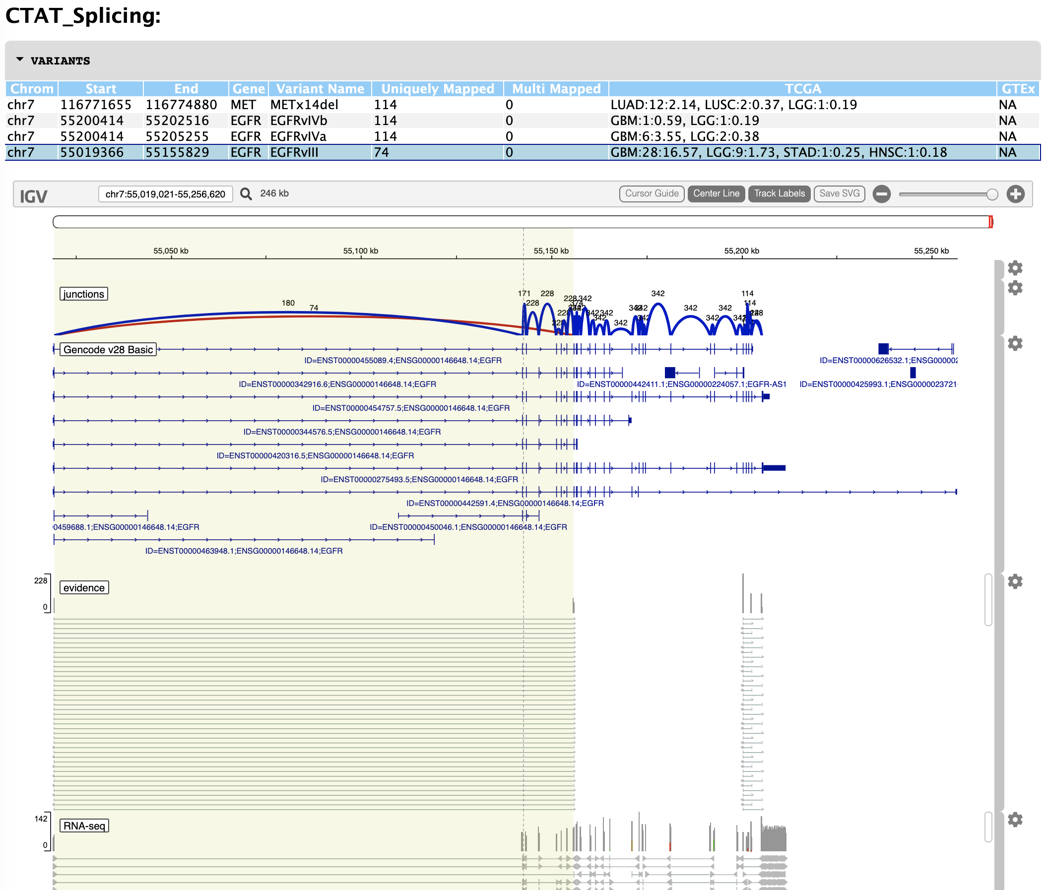 igv_report_ctat_splicing_png