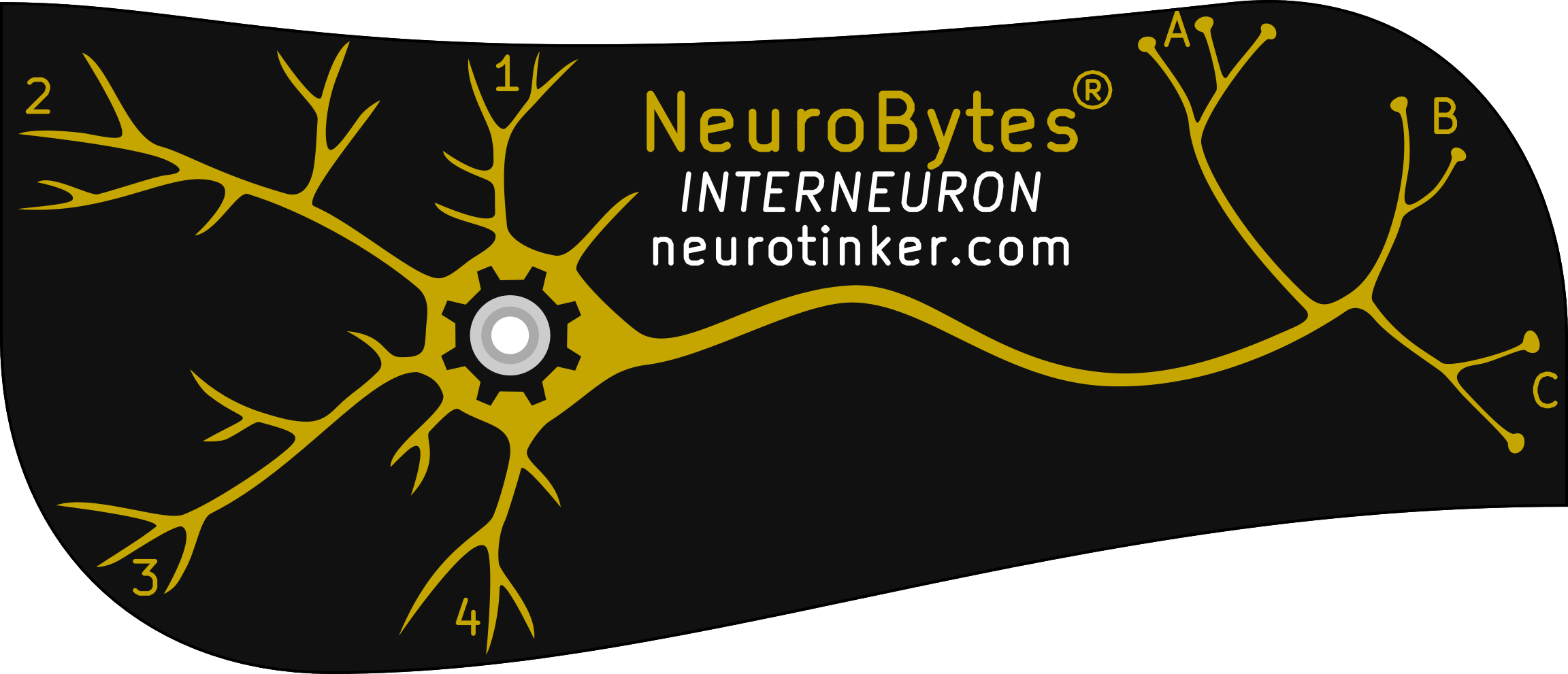 NeuroBytes_Interneuron.png