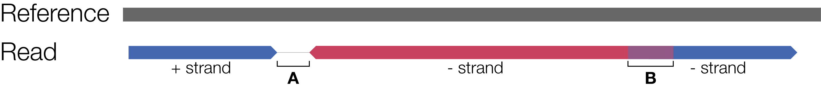 pbsv-insertion-criteria.png