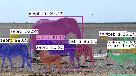 result_zebra.png