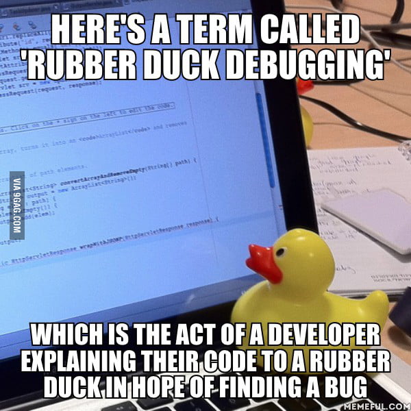 duckmeme.jpg