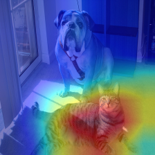 resnet152-gradcam-layer4-tiger_cat.png