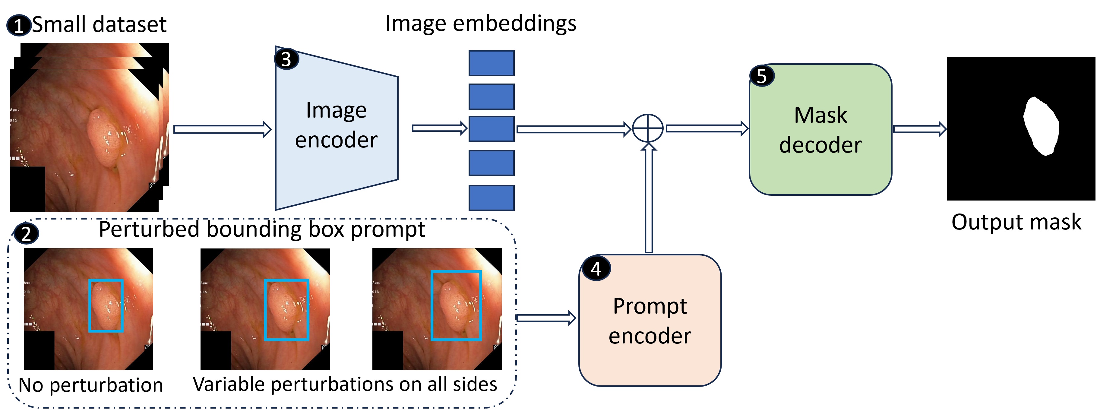 pp_sam_fs_fine_tuning_pipeline.jpg