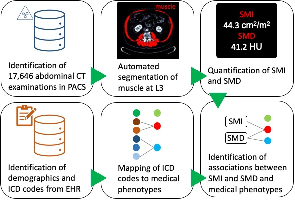 overview_figure.jpg