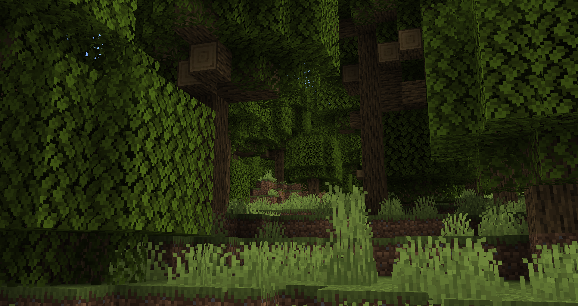 Dense Woodlands