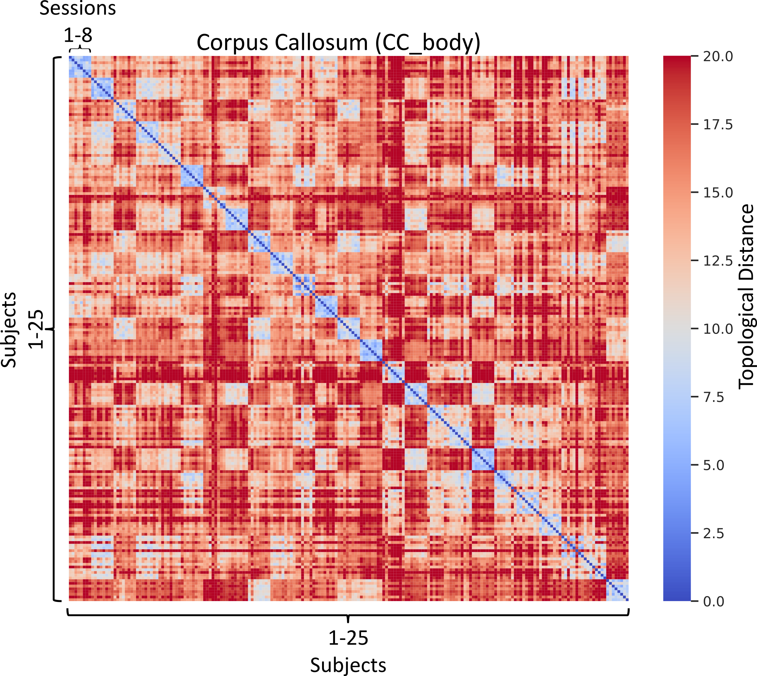 HeatmapsFor25SubjectsCC.jpg