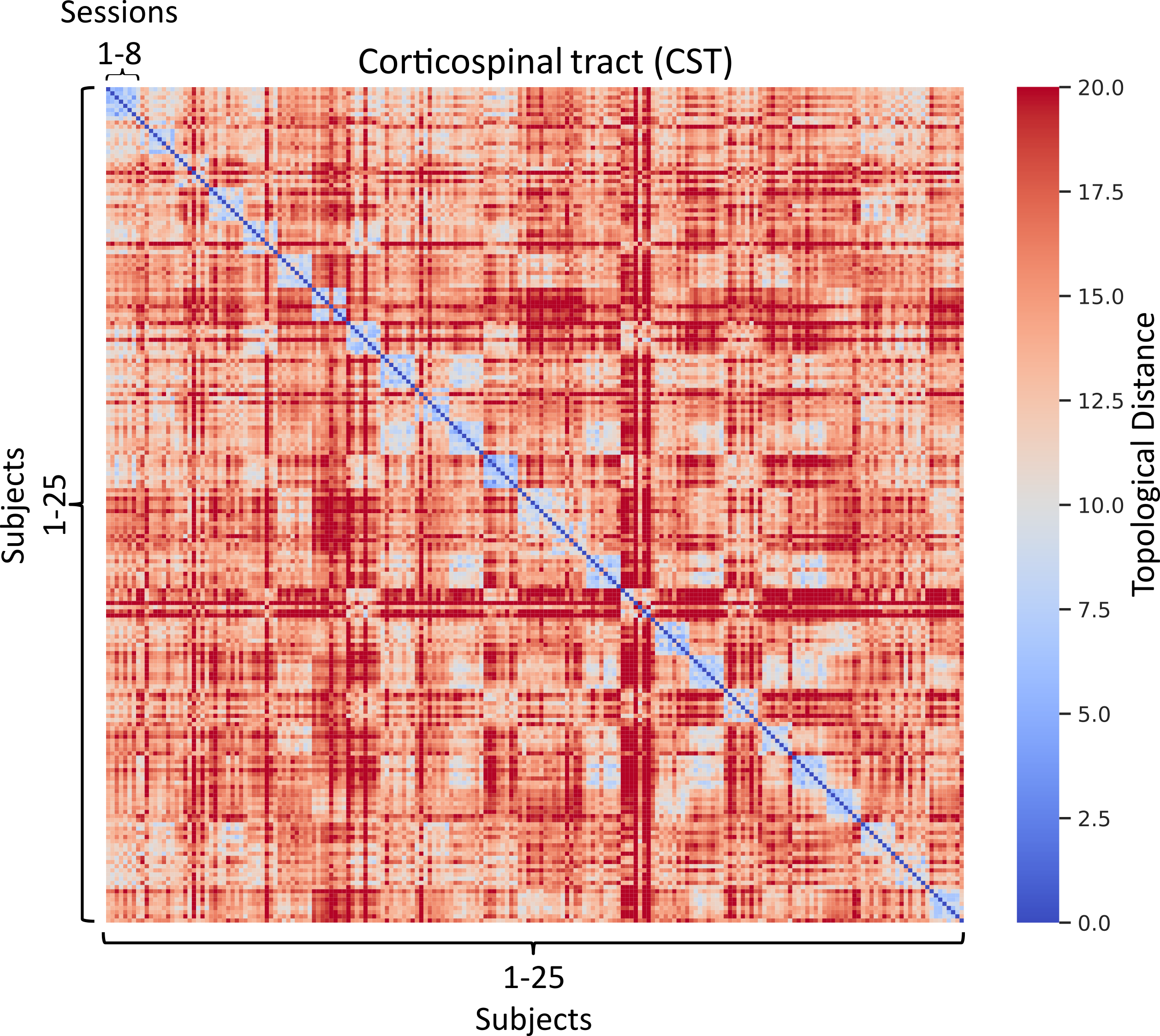 HeatmapsFor25SubjectsCST.jpg