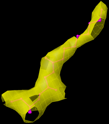 The ugly ligand