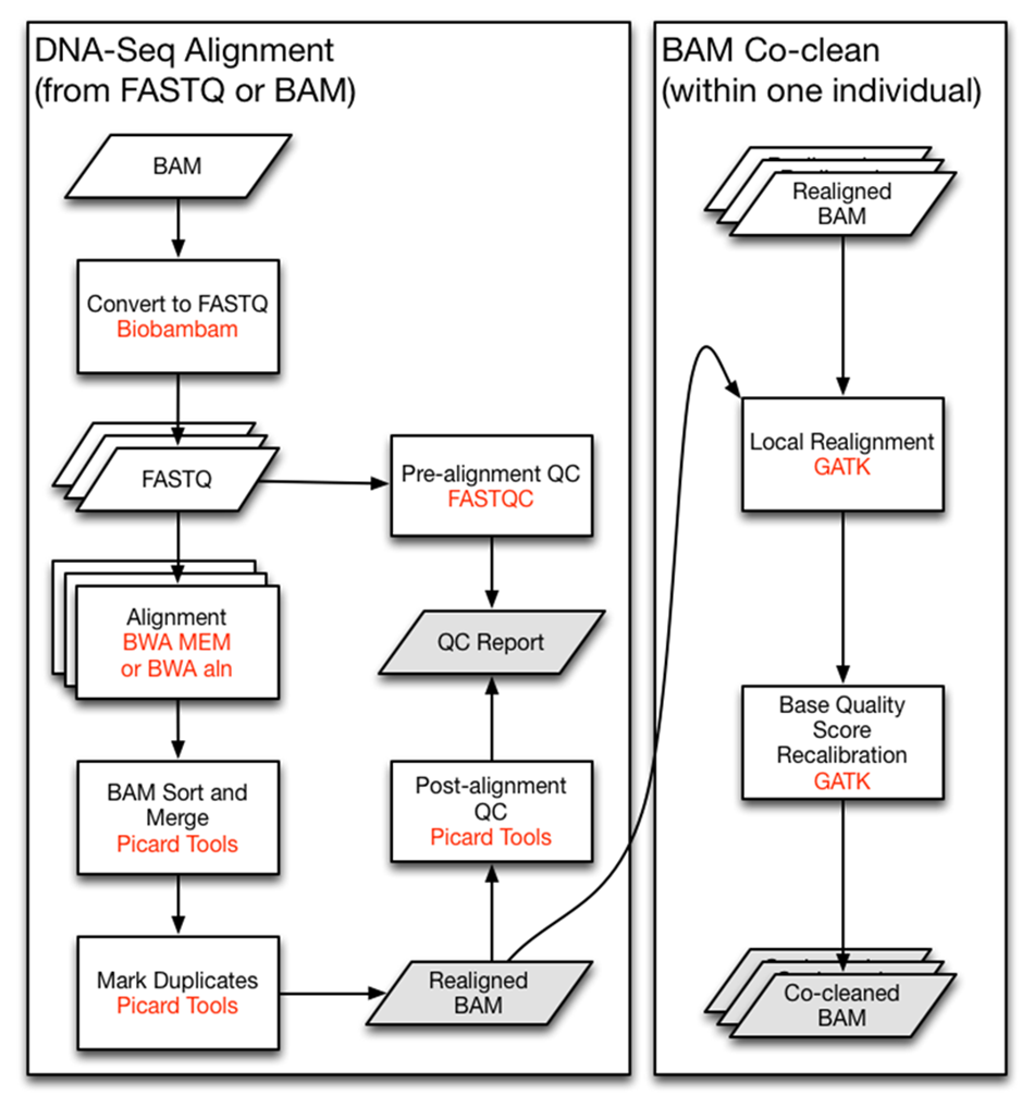 dnaseq.png