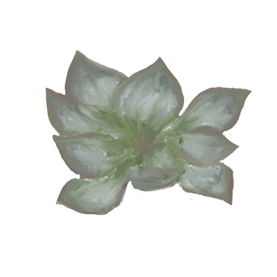 plant9.png