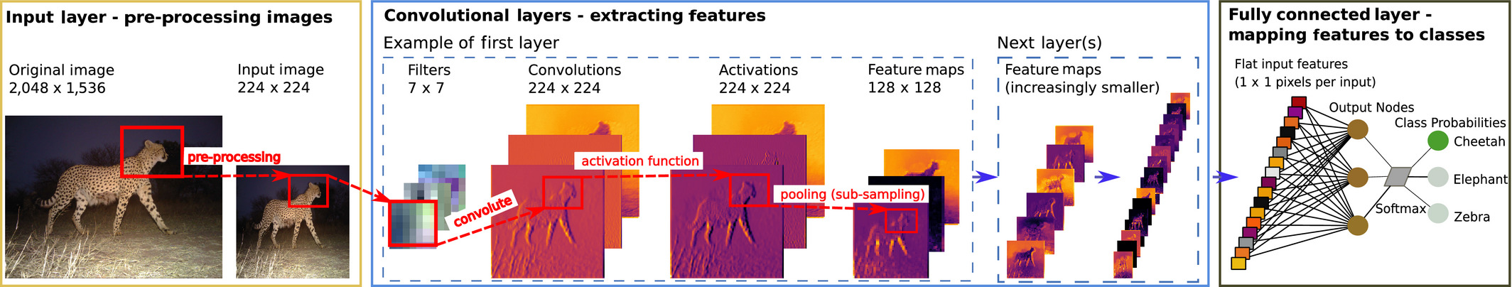 mee313099-fig-0002-m.jpg