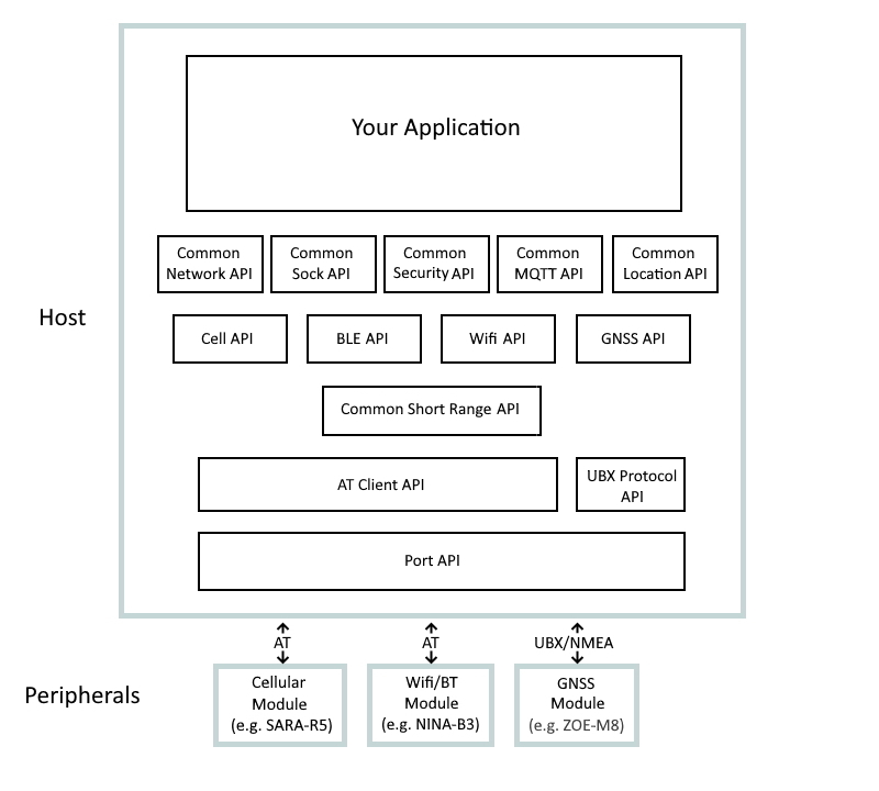 apis.jpg