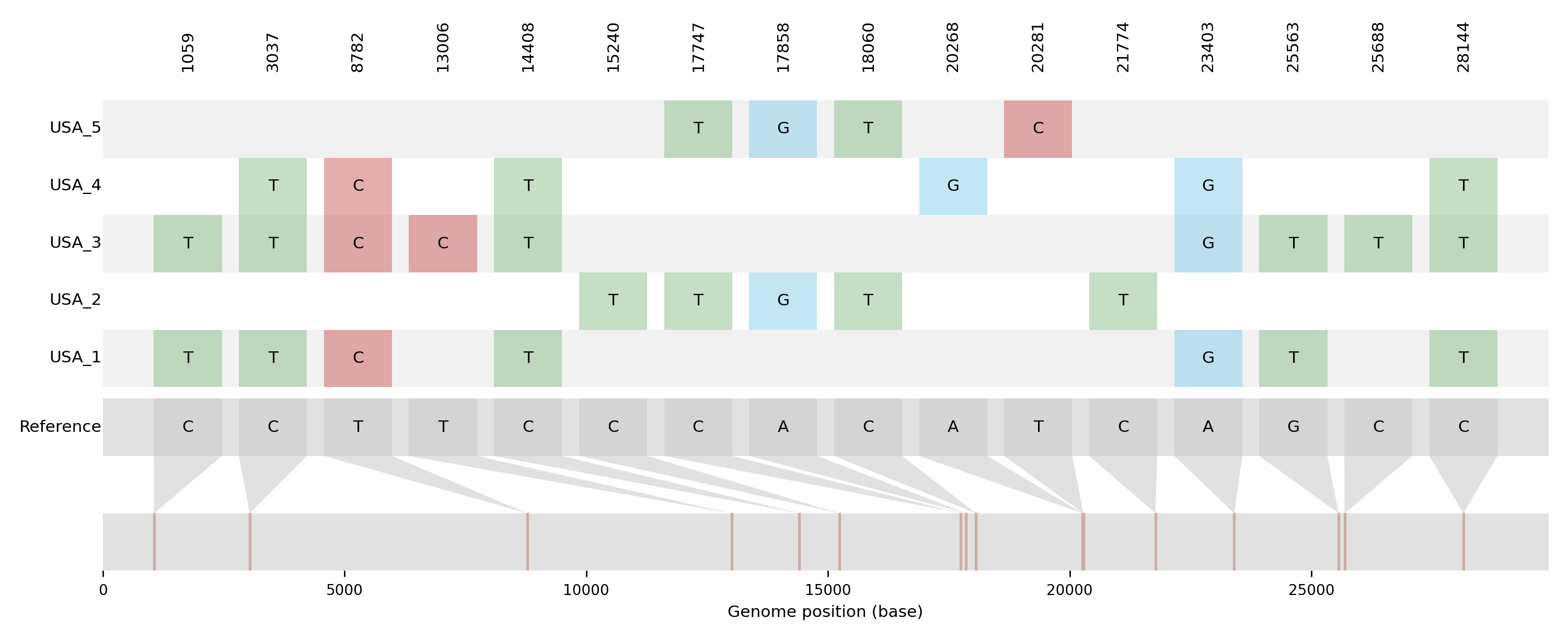 genome_graph.png