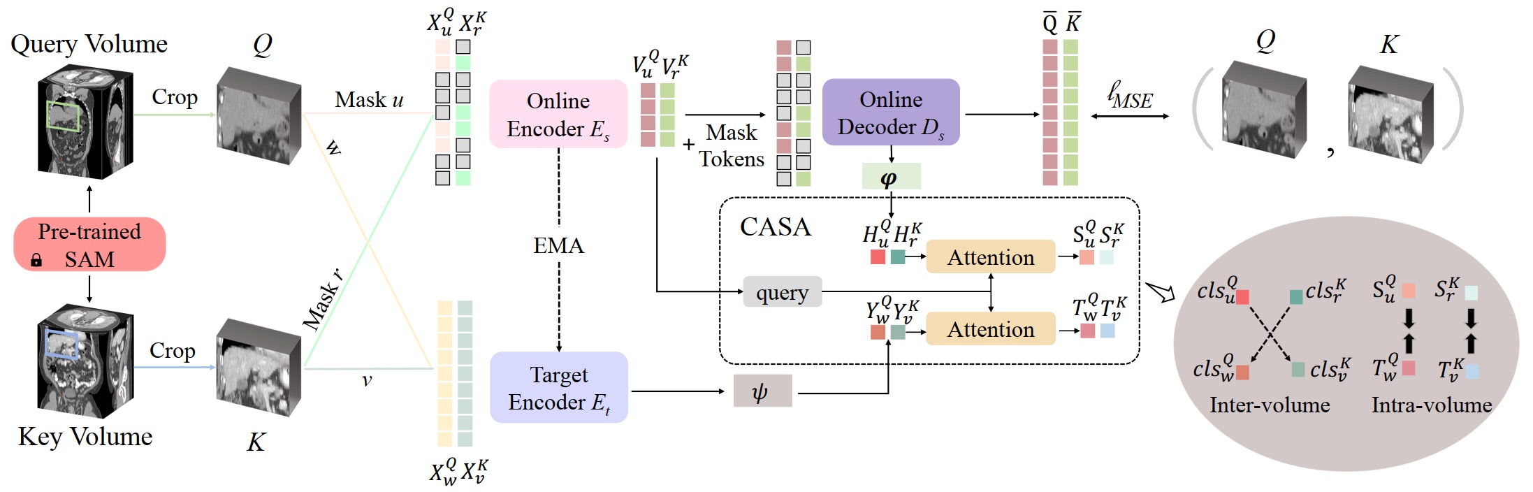 fig2.jpg