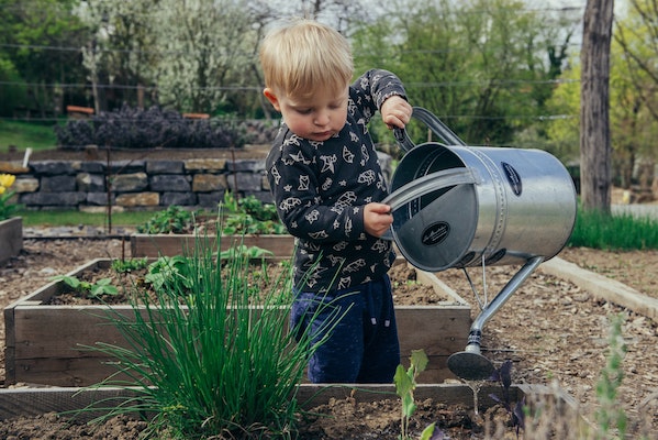 child-watering-garden.jpg