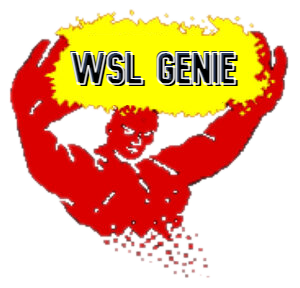 wslgenie.png