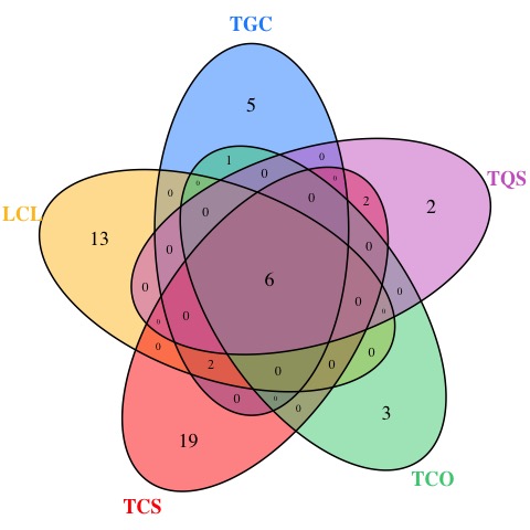 Venn_diagram.jpeg