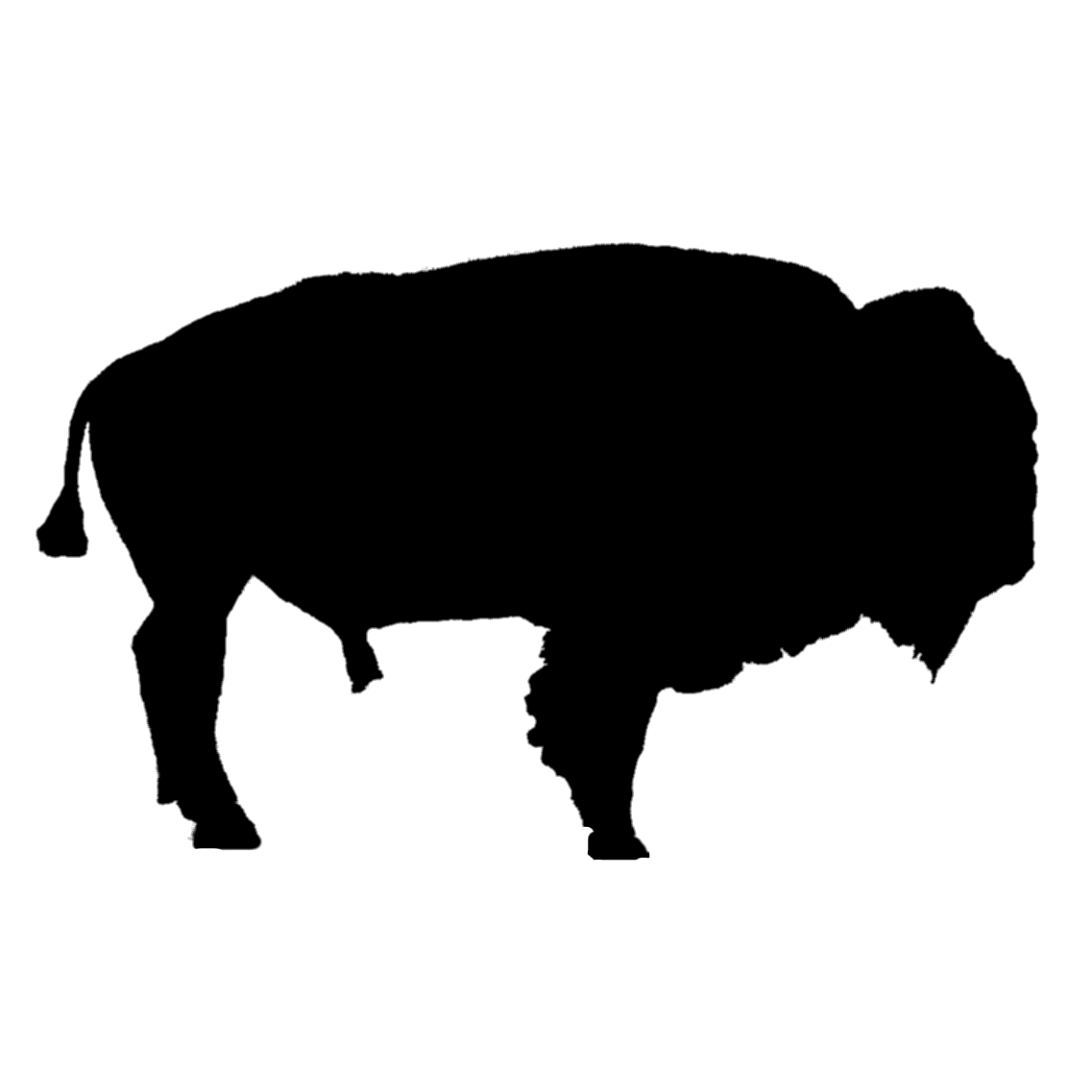 bison.png