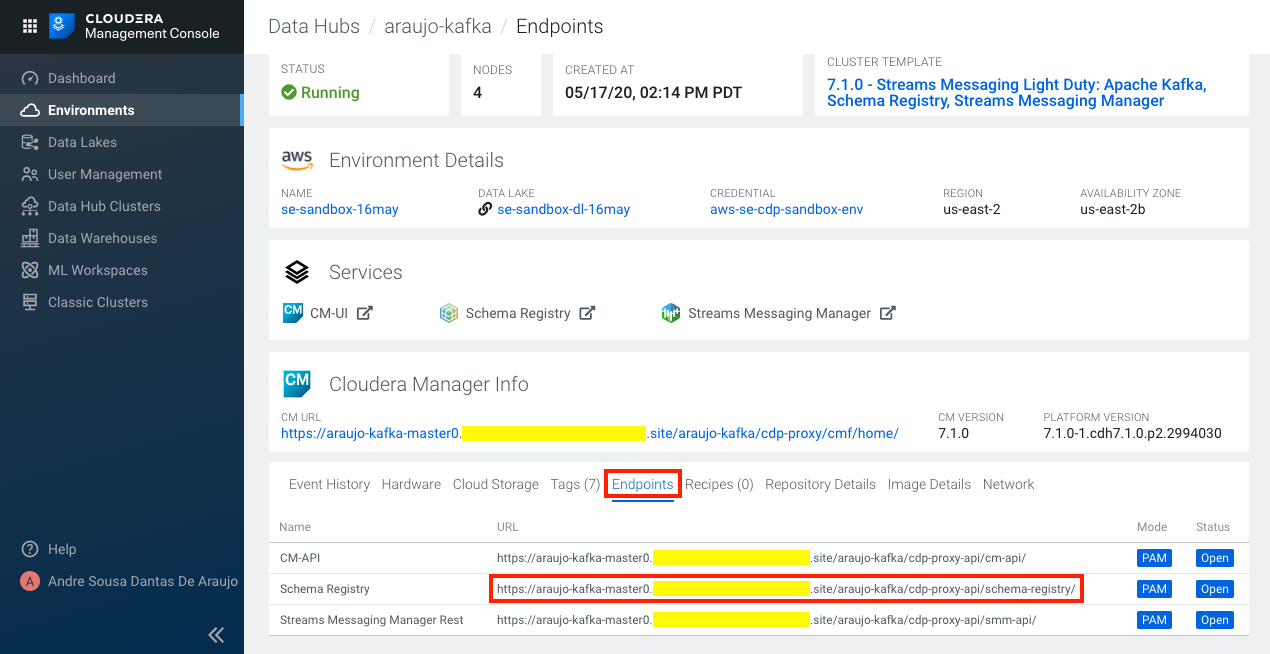 schema-registry-endpoint.png