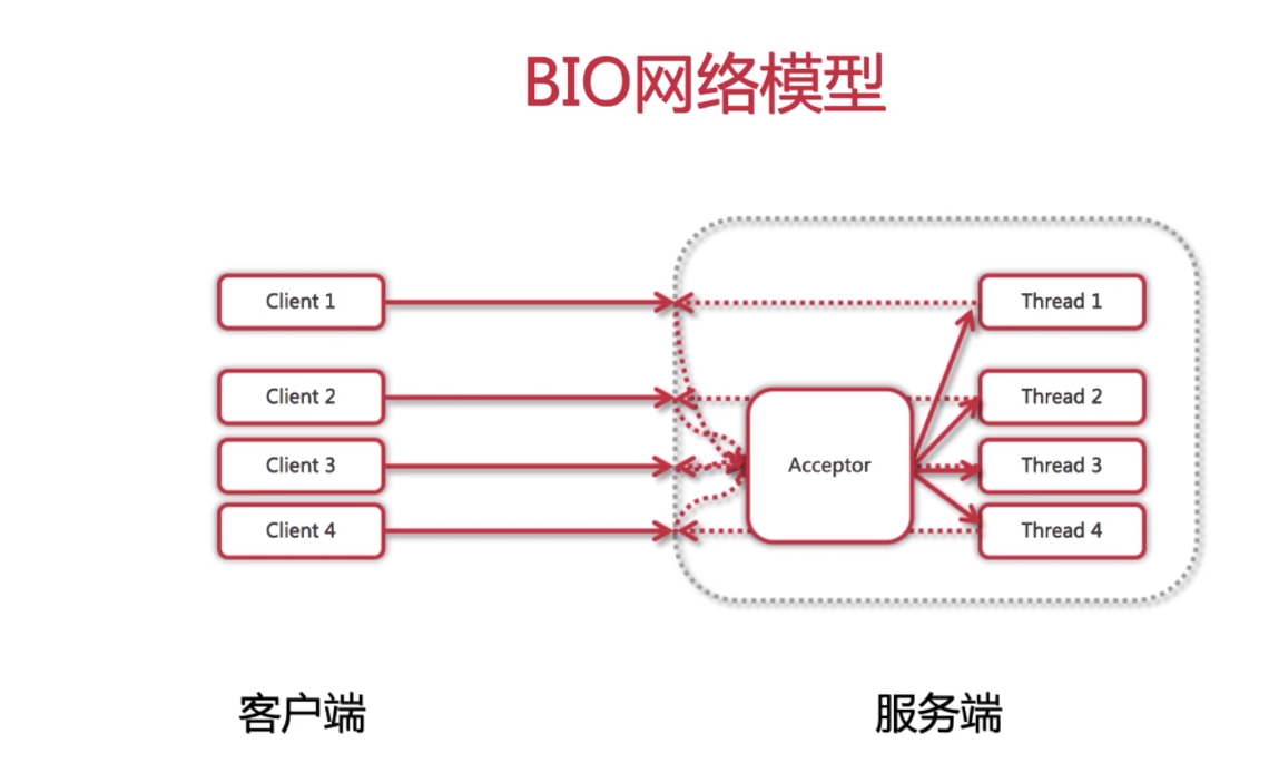 bio网络模型2.jpg