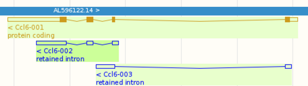 Ccl6_splicing_graphs.png