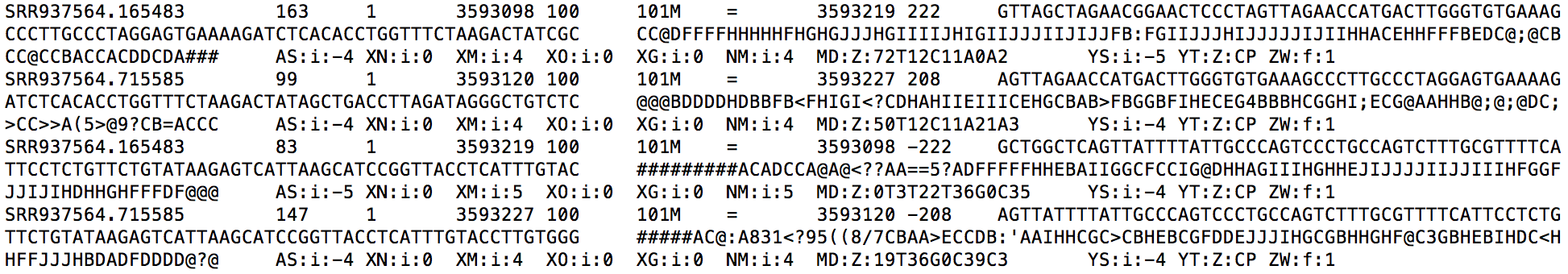 genome_bam_snippet.png