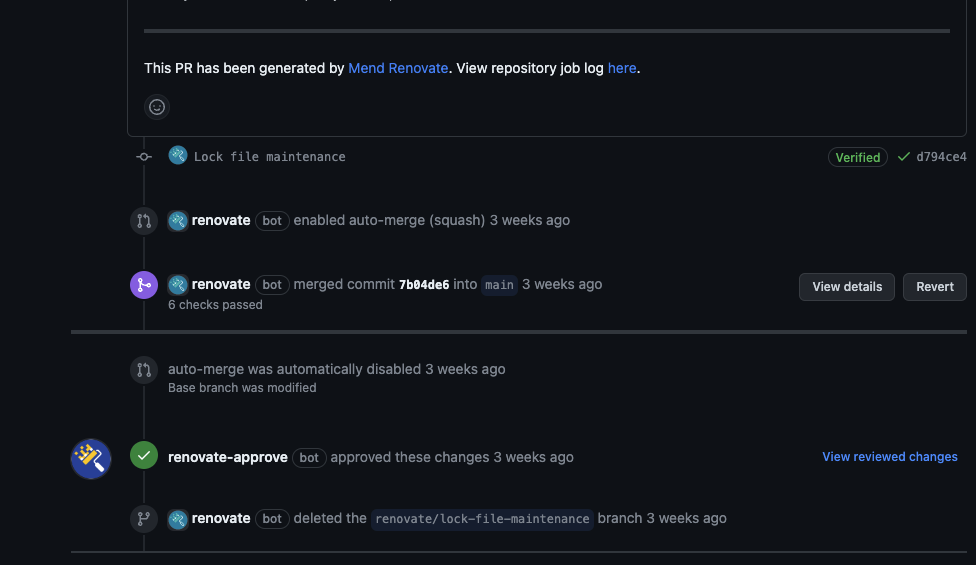 renovate-auto-merge.png