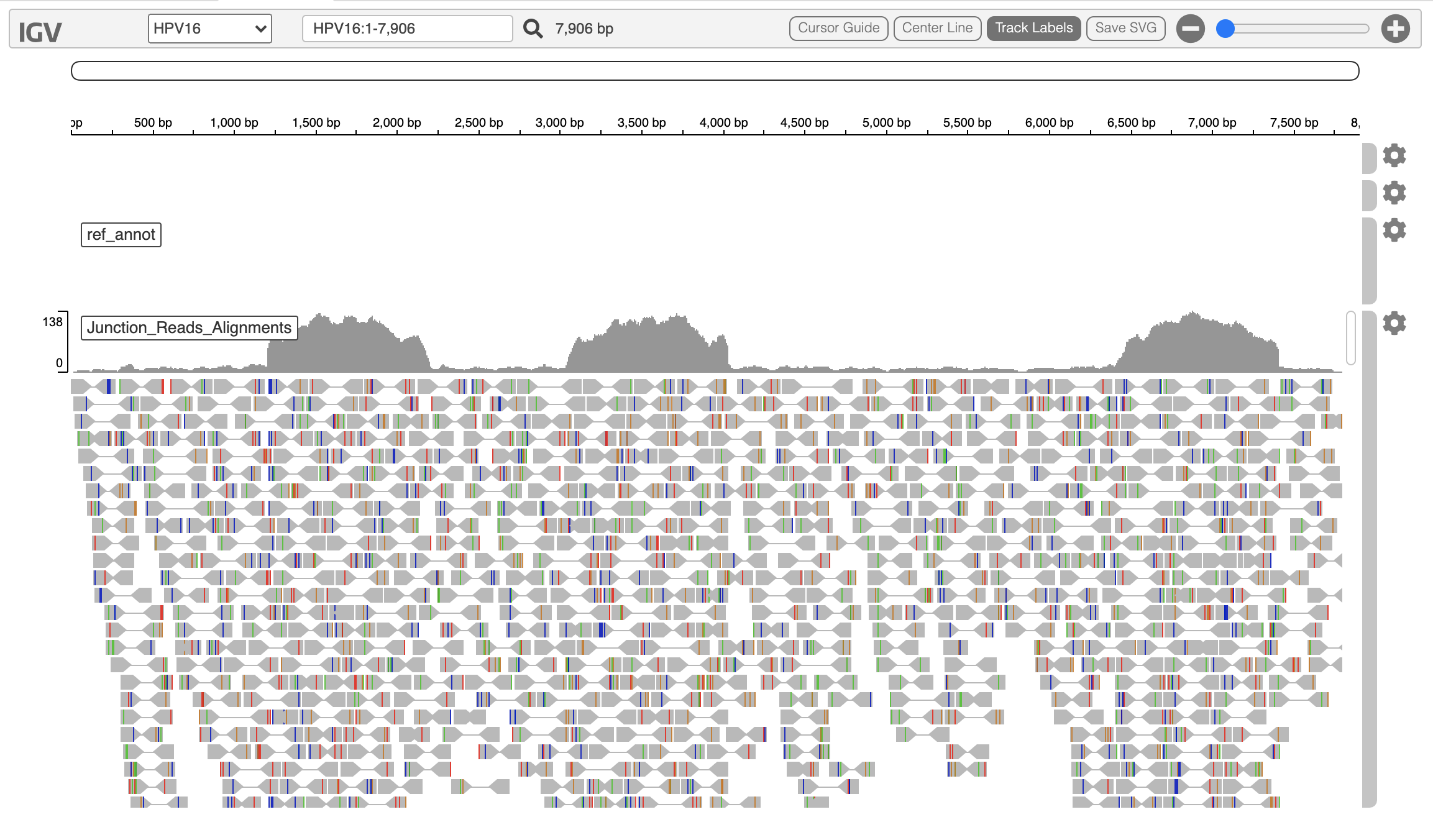 virus_genome_view