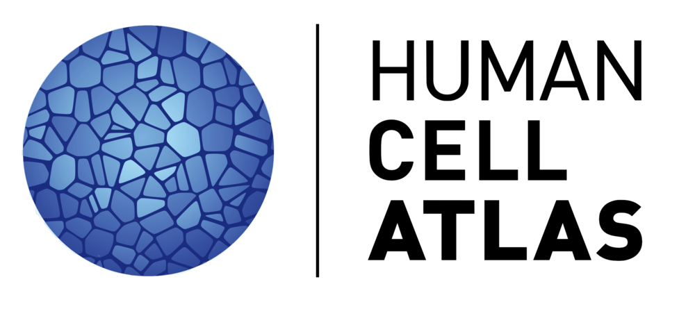 hca-logo.png