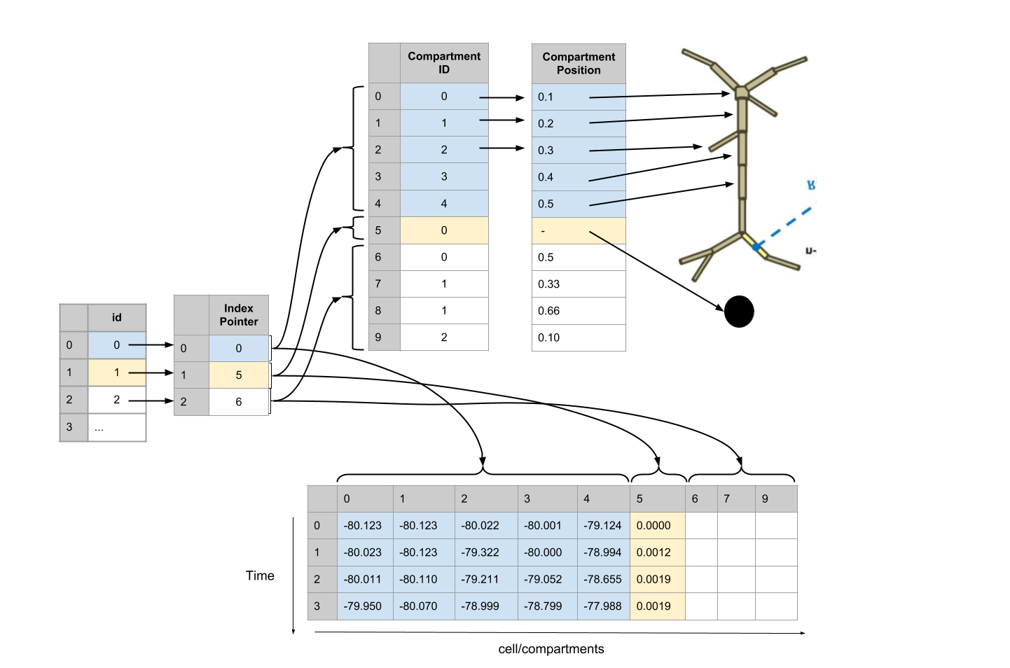 multicompartment_schema_1.png