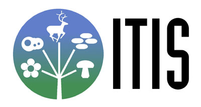 itis_logo.jpg