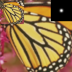 butterfly_x3_k2_LR.png