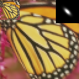 butterfly_x4_k7_LR.png